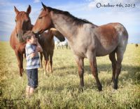 Hancocks Red Hot's 2015 Colt